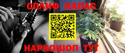 гашик Северобайкальск