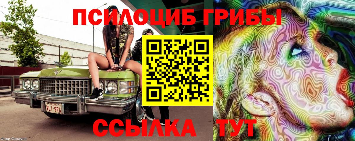 Псилоцибиновые грибы мицелий Ачинск